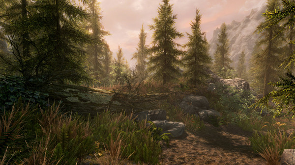The Elder Scrolls V: Skyrim